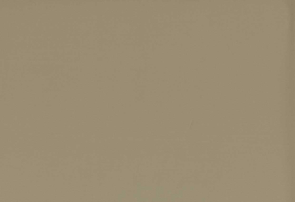 Picture of TURKS-FOREST