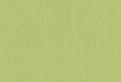 Picture of TURKS-MOSS