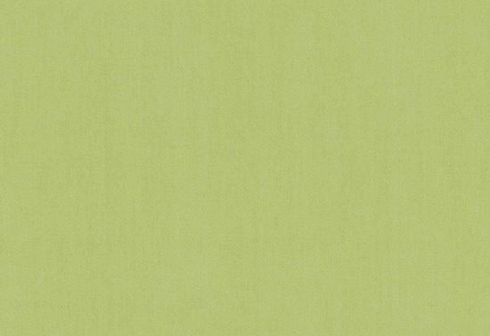 Picture of TURKS-MOSS