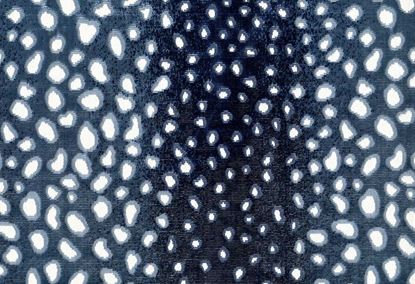 Picture of CHIMAY-AZURE