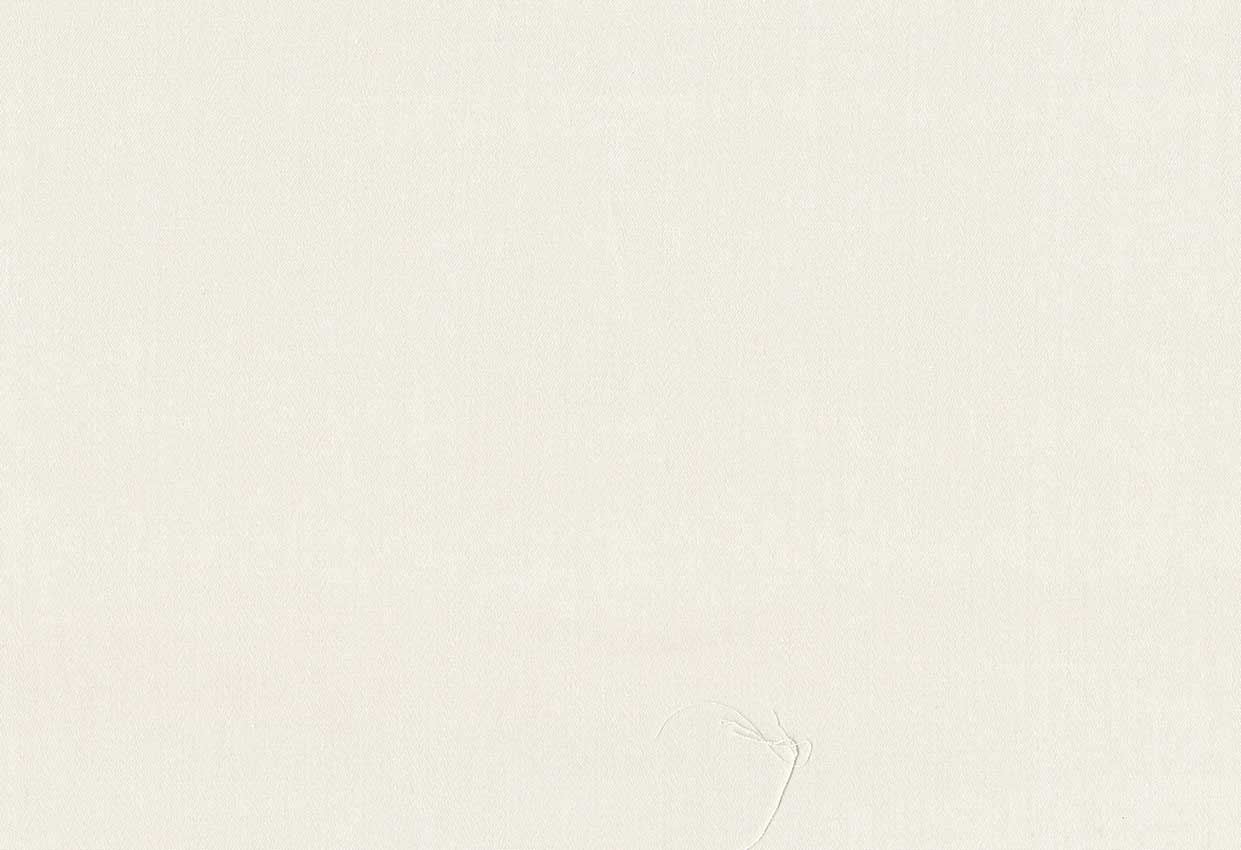 Picture of TURKS-LACE