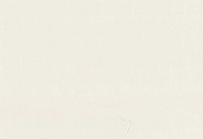 Picture of TURKS-LACE