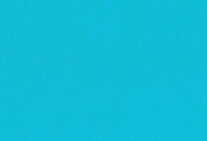 Picture of TURKS-TURQUOISE