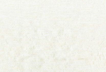 Picture of KELLY-WHITE