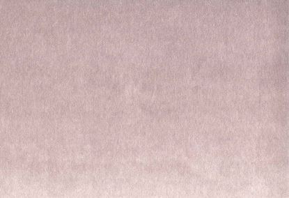 Picture of MONTREAL-ORCHID