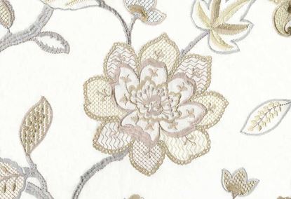 Picture of BAHIA-OYSTER