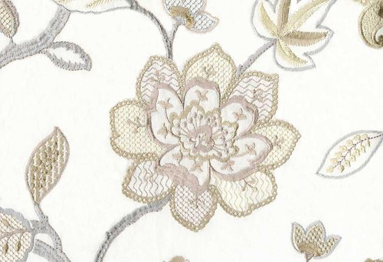 Picture of BAHIA-OYSTER