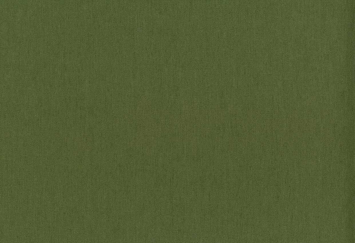 Picture of CAYMAN-OLIVE