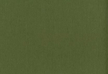 Picture of CAYMAN-OLIVE