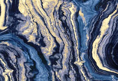 Picture of CARNEGIE-NAVY