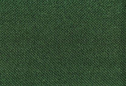 Picture of ALPACA-FOREST