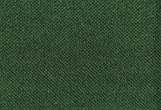 Picture of ALPACA-FOREST