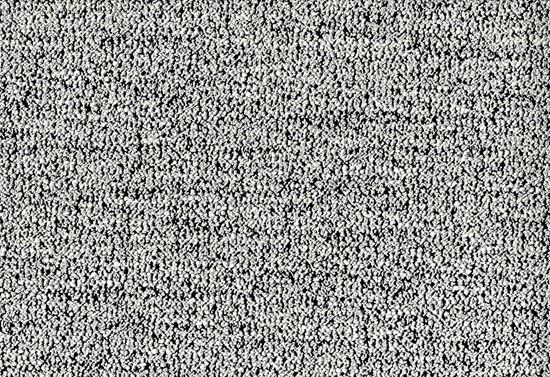 Picture of BEZNER-ZEBRA