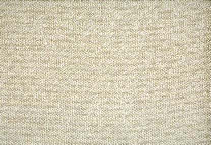 Picture of RIVERSTONE-SEASHELL