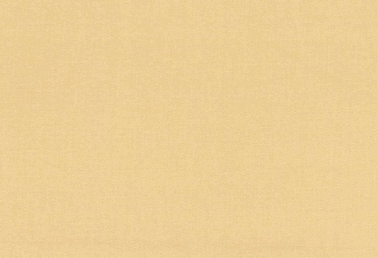 Picture of TURKS-NUGGET