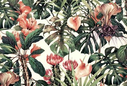 Picture of BABBIE-SPRING