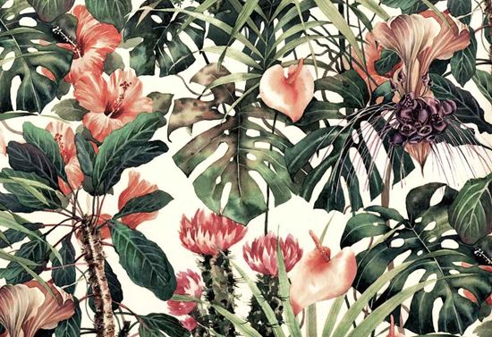 Picture of BABBIE-SPRING