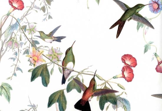 Picture of MOBILE-SPRING