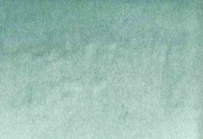 Picture of MONTREAL-SPEARMINT