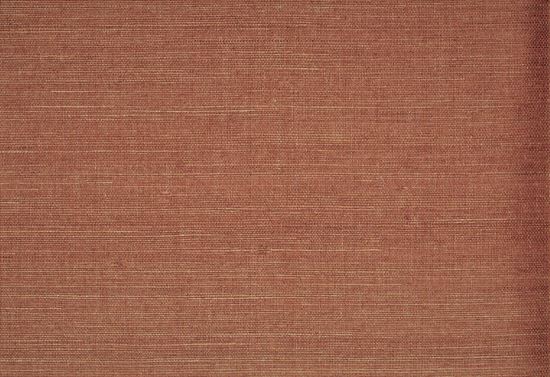 Picture of WARNER WC-RUST