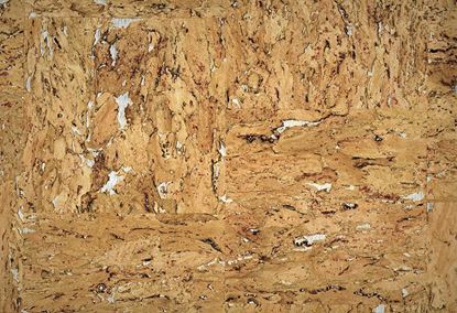 Picture of TRAIL WC-TOFFEE