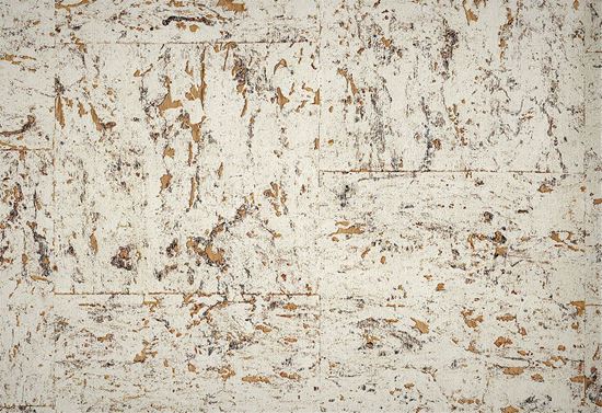 Picture of OSTRICH WC-CINNAMON