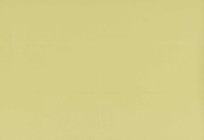 Picture of TURKS-MUSTARD