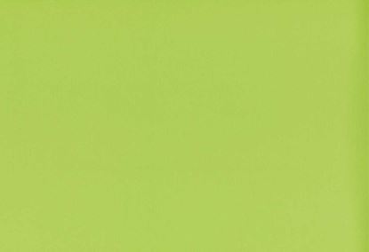 Picture of TURKS-LEAF