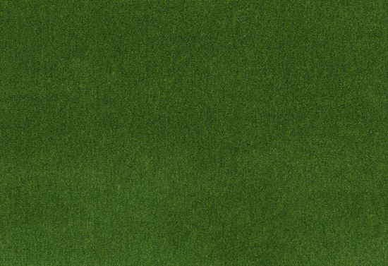 Picture of SYOSSET-KELP