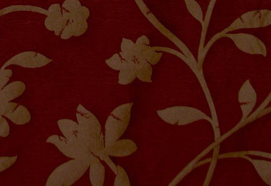 Picture of ANNA-WINE