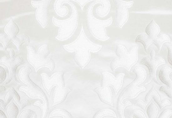 Picture of ANNIE-OYSTER