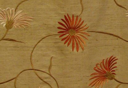 Picture of DAISY-LATTE