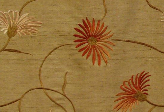 Picture of DAISY-LATTE