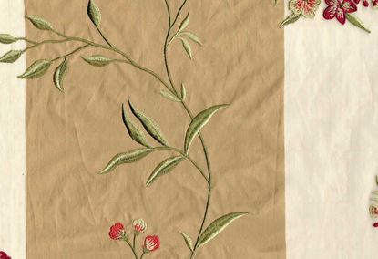 Picture of DIANA-TAN