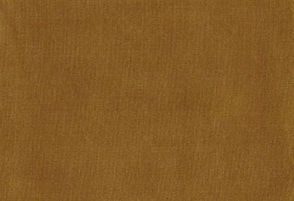 Picture of EMMA-AMBER