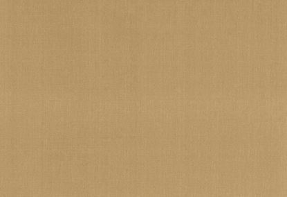 Picture of EMMA-MAIZE