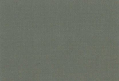 Picture of EMMA-NILE