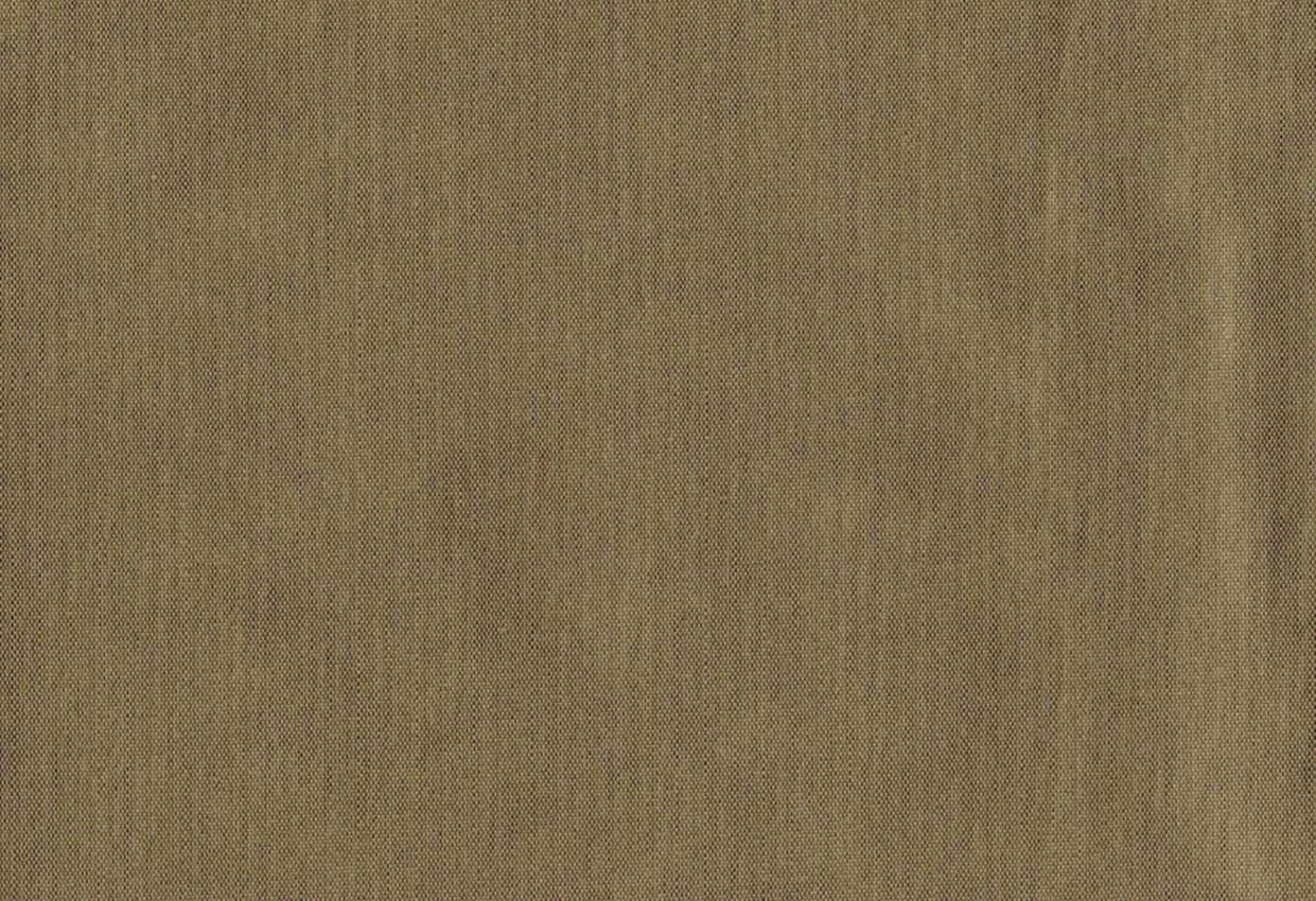 Picture of EMMA-OTTER