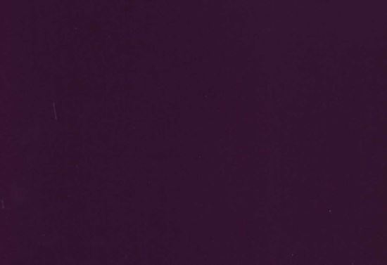 Picture of ETOILE-IRIS