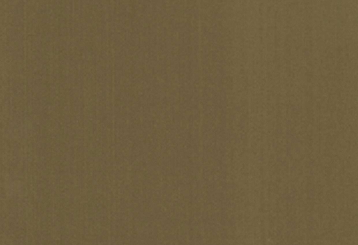 Picture of ETOILE-TAUPE