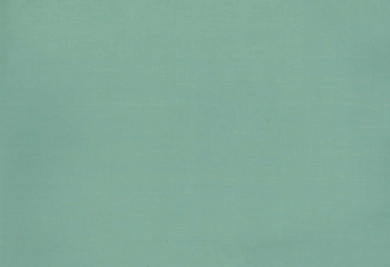 Picture of FIONA-OCEAN