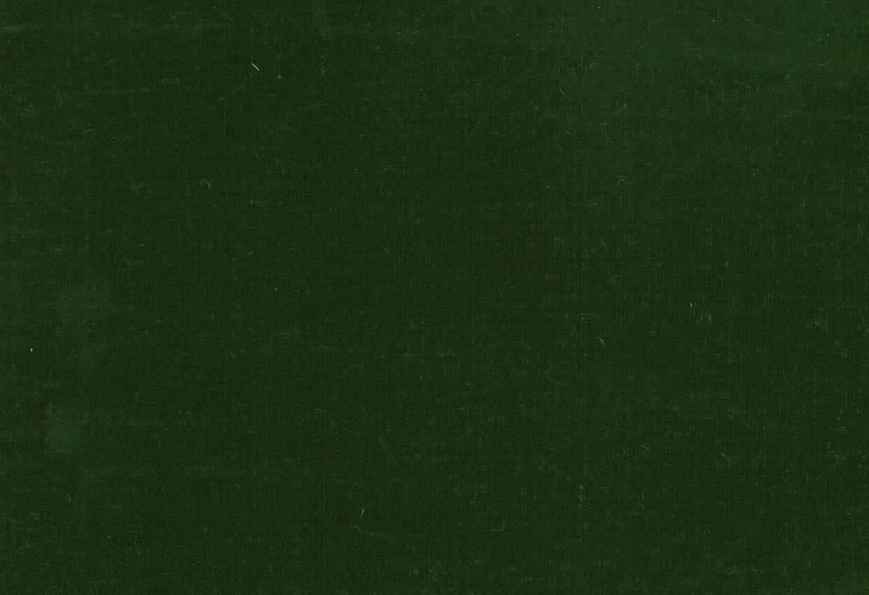 Picture of FIONA-OLIVE