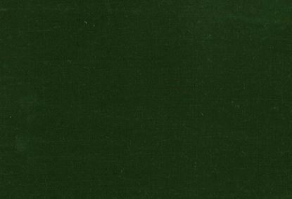 Picture of FIONA-OLIVE