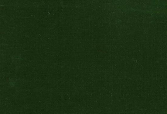 Picture of FIONA-OLIVE