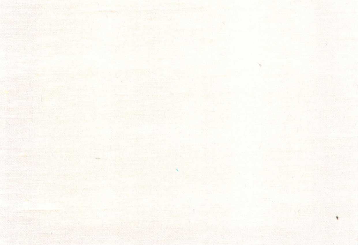 Picture of FIONA-OYSTER