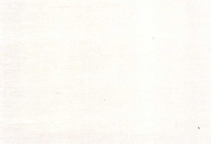 Picture of FIONA-OYSTER