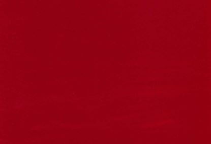 Picture of FIONA-SCARLET