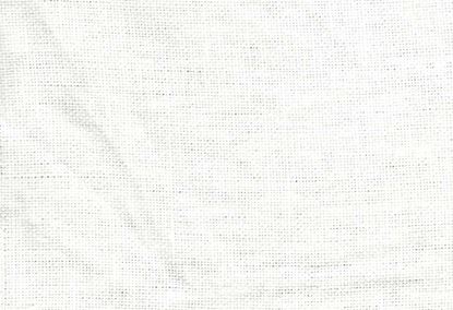 Picture of MOLLY-WHITE