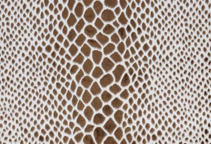 Picture of NALA-CAFE