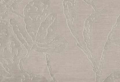 Picture of PERLA-PLATINUM